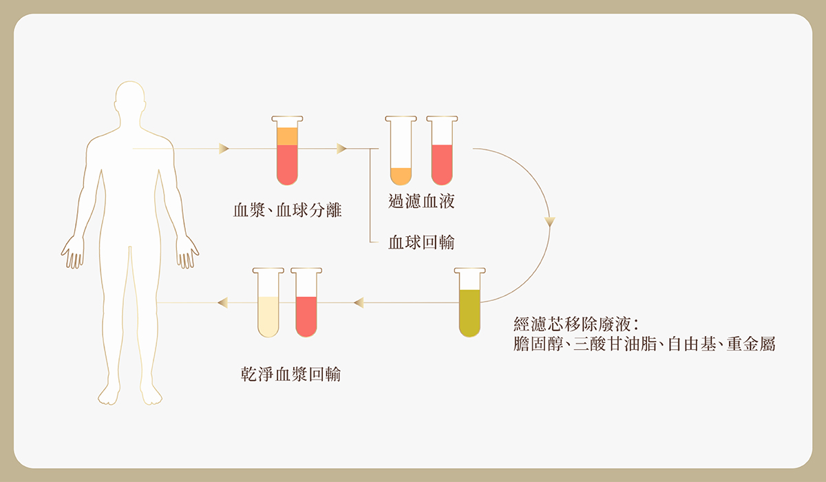 01_preventive_medicine https://sy-bac.demo1.app/wp-content/uploads/2026/05/01_preventive_medicine_-blood_introduce_5.jpg
