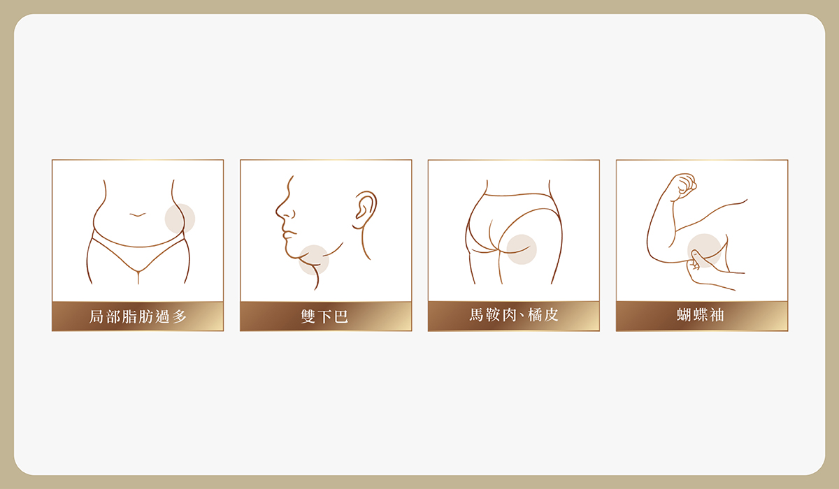 https://sy-bac.demo1.app/wp-content/uploads/2026/05/03_aesthetic-medicine_B_fat_-introduce_5.jpg