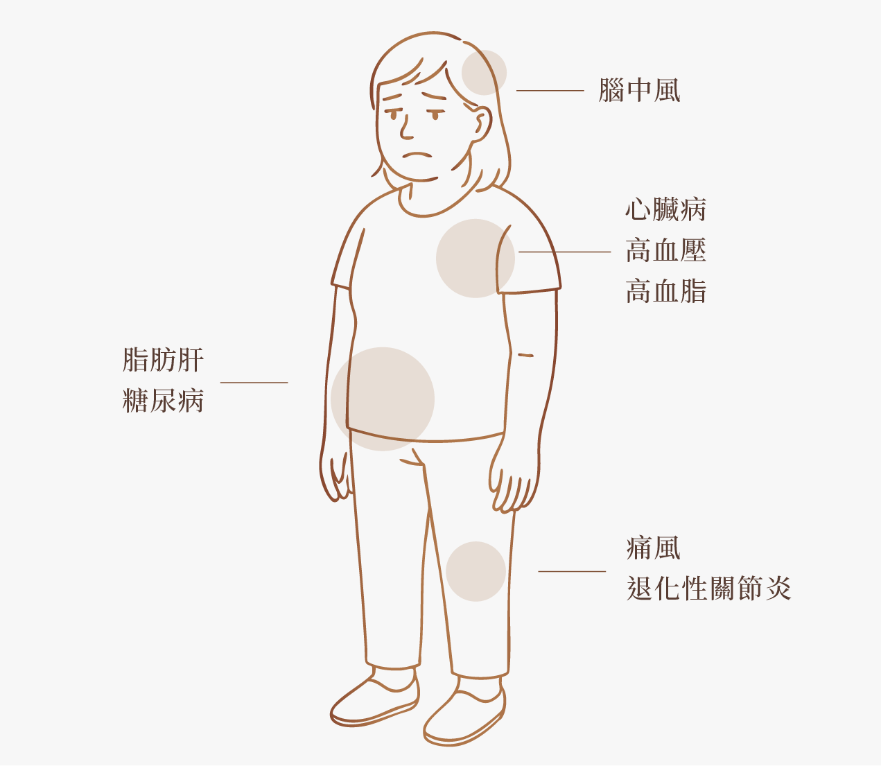 血液淨化療程|優化體內代謝循環,喚醒輕盈節奏