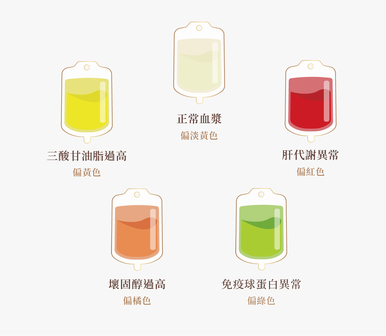 血液淨化療程|優化體內代謝循環,喚醒輕盈節奏