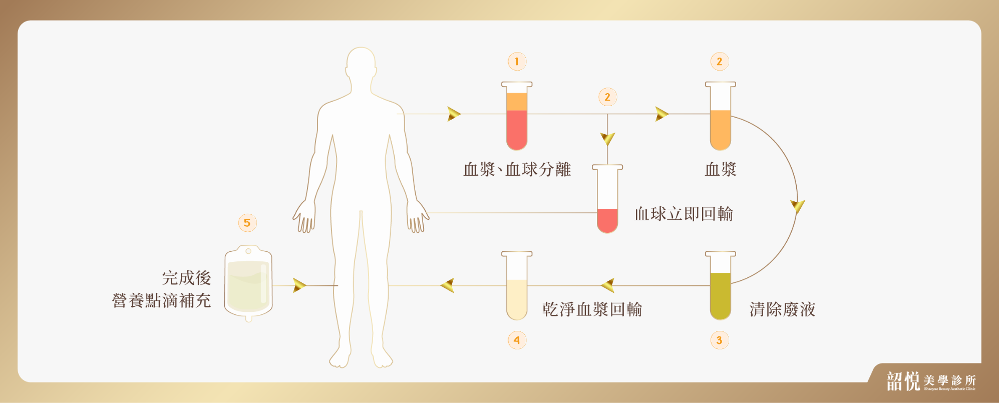 血液淨化療程|優化體內代謝循環,喚醒輕盈節奏