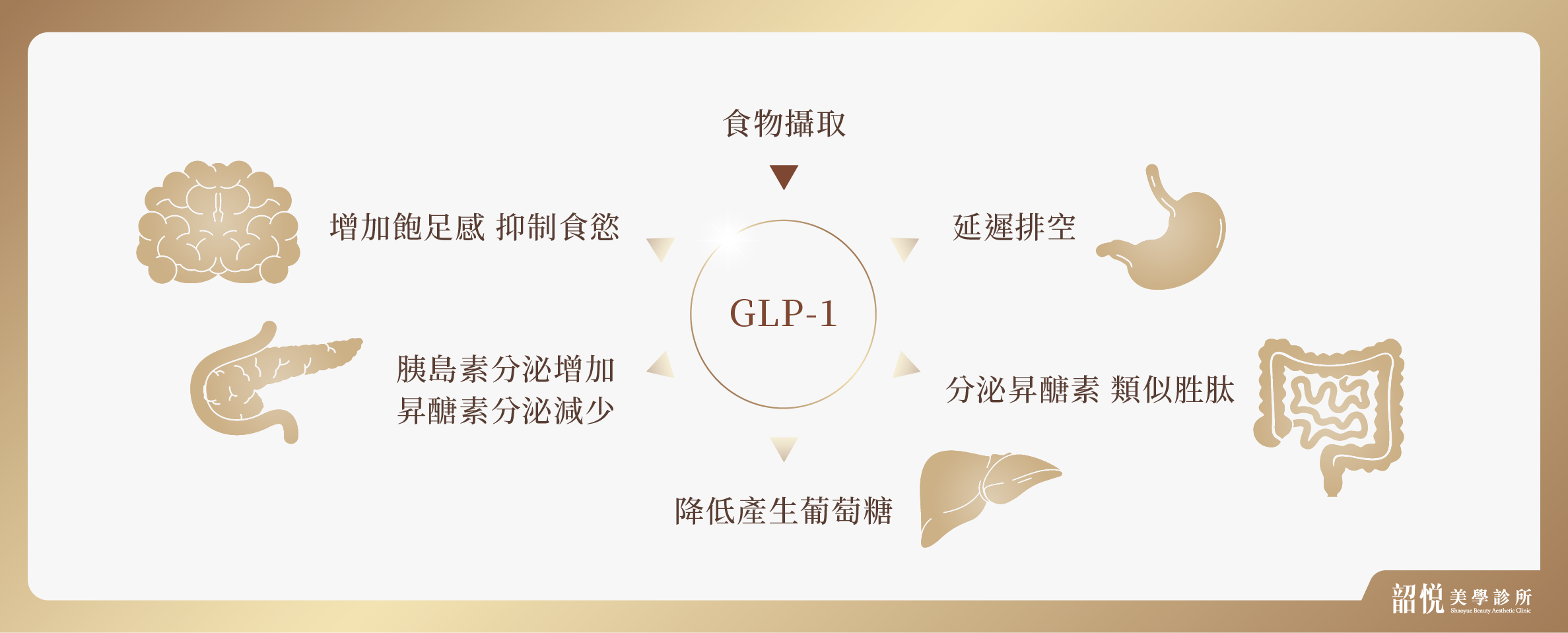 瘦瘦針|關鍵在內分泌,不只是你吃得太多